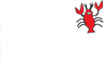Maine Ortho Review